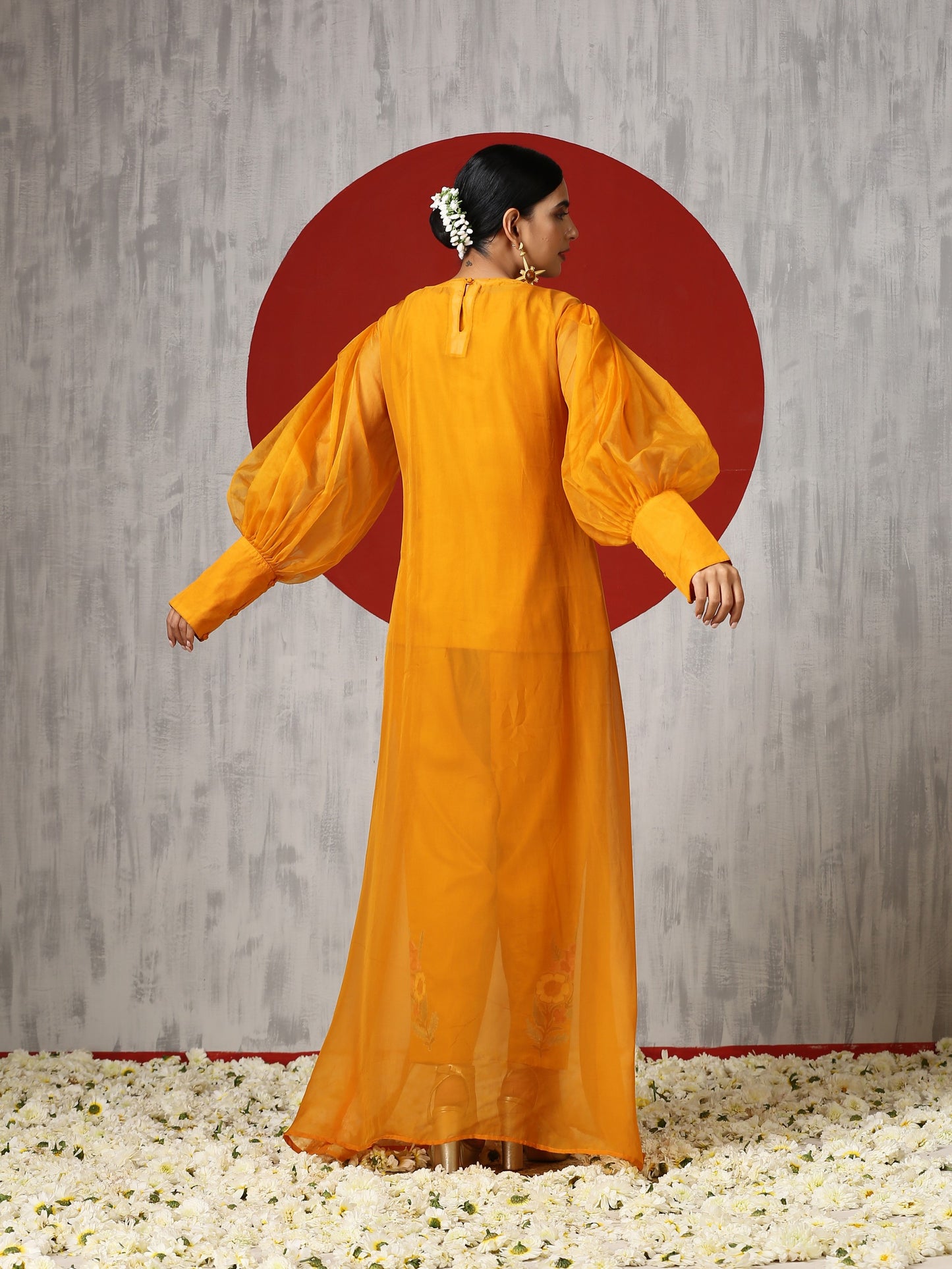 Jashn Organza Drape Co-ord Set