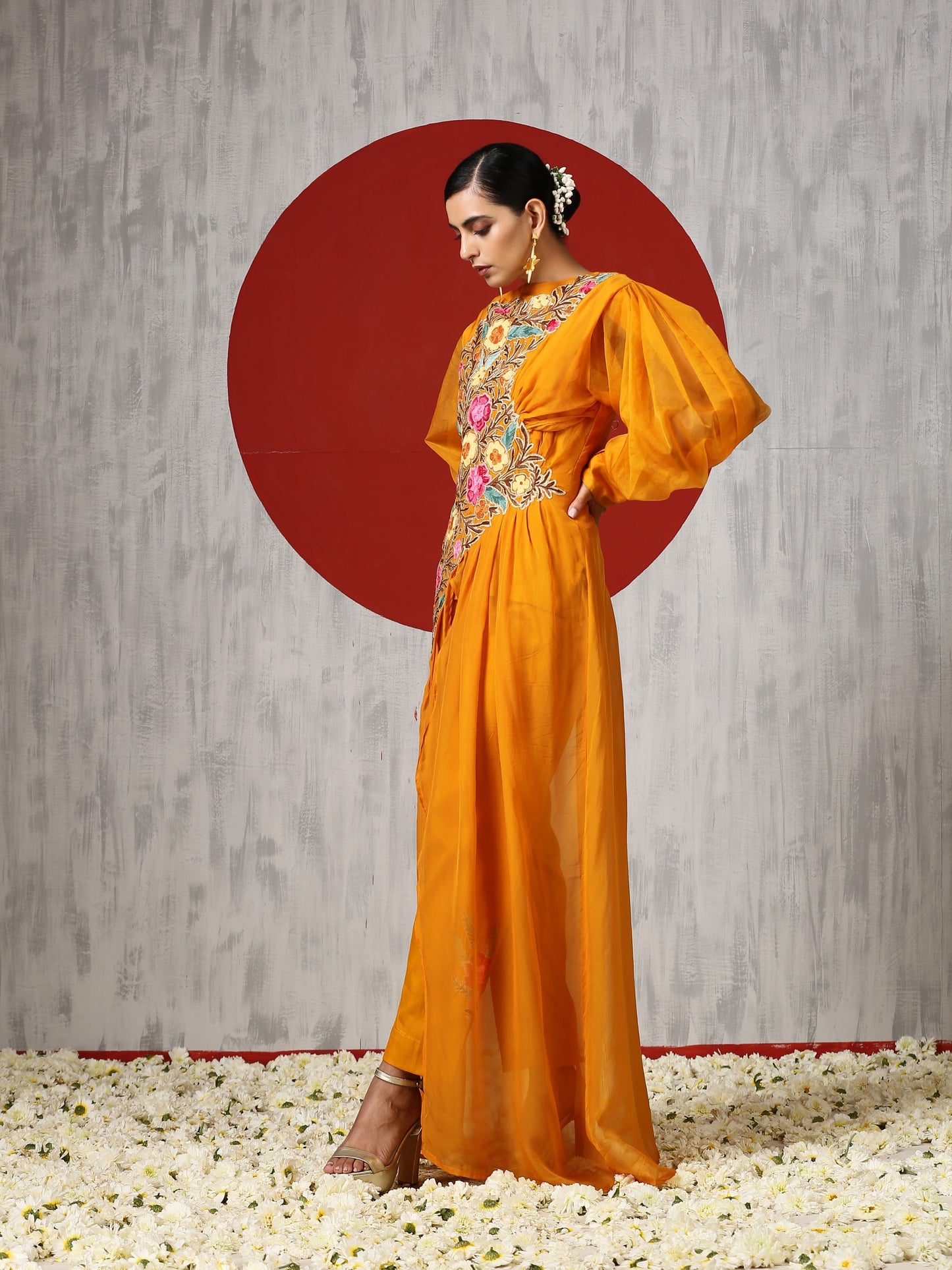 Jashn Organza Drape Co-ord Set