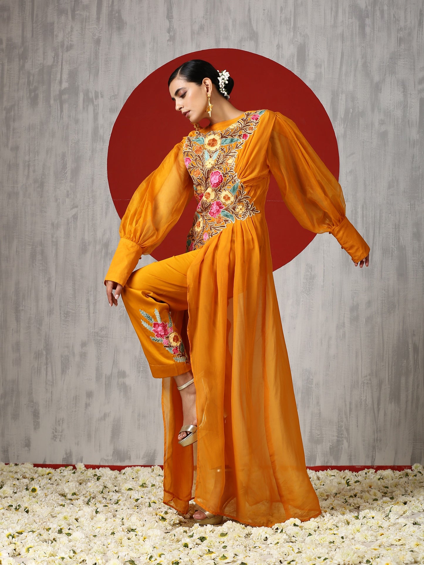 Jashn Organza Drape Co-ord Set