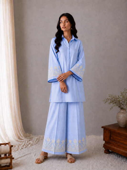 Sehar Sky Blue Co-ord Set