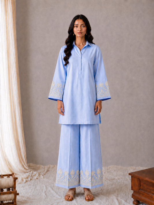 Sehar Sky Blue Co-ord Set